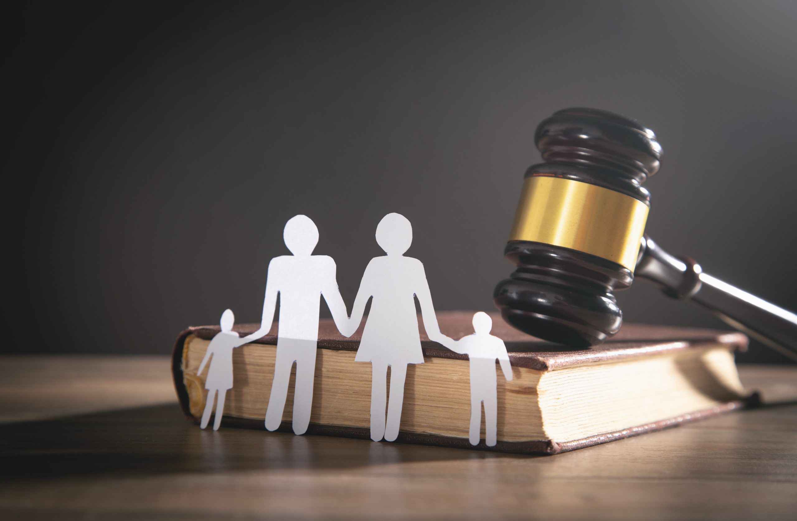 Family Law Professionals
